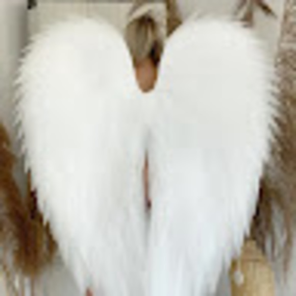 Meet your Posher, Zoe - Picture 1 of 1